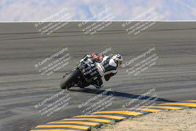 media/Jan-20-2023-Apex Assassins (Fri) [[05880b9d29]]/Trackday 1/Session 2 (Bowl Backside)/